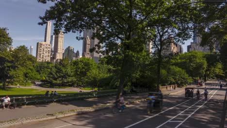 Zeitraffer-Und-Bewegungsraffer-Des-Central-Parks-Bei-Tag-Mit-Vorbeifahrenden-Menschen,-Touristen,-Sportlern,-Festwagen-Und-Fahrrädern,-Aus-Der-Mitte-Des-Parks-Mit-Den-über-Die-Bäume-Hängenden-Gebäuden