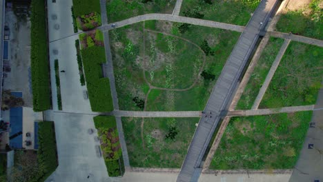 top-down-chicago-aerial-in-the-summer-above-parks,-Jay-Pritzker-Pavilion,-crosswalks,-millenium-park