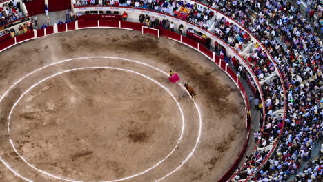 Aerial-view-around-a-matador-fighting-a-bull-inside-bullfighting-ring,-in-Aguascalientes,-Mexico
