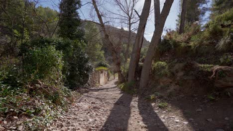 Mediterranean-nature-reserve-of-El-barranco-de-los-molinos