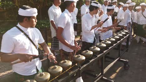 Cautivadores-Músicos-Balineses-Tocan-Rítmico-Gamelan-Baleganjur,-Indonesia-En-La-Ceremonia-Del-Templo-Religioso