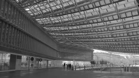Black-and-White-View-Of-Westfield-Forum-des-Halles,-The-Canopy-In-Paris,-France