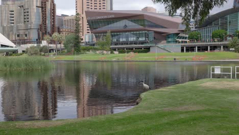 Adelaide-Convention-Center-Und-Sky-City-Casino-über-Dem-Fluss-Torrens-In-Adelaide,-Südaustralien