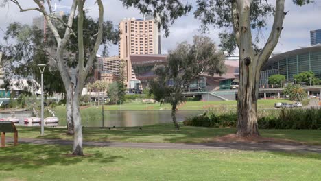 River-Torrens-In-Adelaide,-Südaustralien-Mit-Dem-Adelaide-Convention-Center-Und-Dem-Sky-City-Casino-Im-Hintergrund