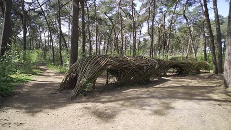 Beautiful-natural-architectural-building-handmade-in-the-beautiful-Bosland-forest-in-Lommel,-Belgium