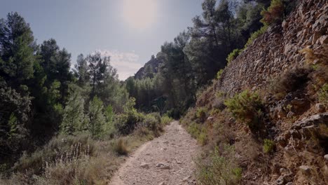 Mediterranean-nature-reserve-of-El-barranco-de-los-molinos