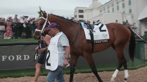 Kentucky-Derby-Pferd-Nummer-2-überprüft