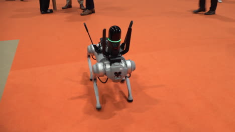 A-Unitree-Go1-quadruped-dog-robot-walks-around-and-interacts-with-people-at-the-IEEE-Robotics-and-Automation-Society-Conference-at-the-Excel-Centre