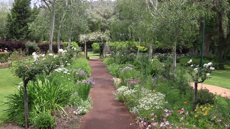 Clip-Panorámico-A-La-Derecha-De-Los-Jardines-De-La-Cabaña-De-Stirling-Con-Flores-En-Flor,-Australia-Occidental