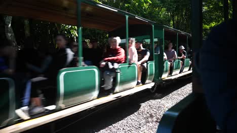 Turistas-Viajando-En-El-Tren-Ecológico-De-La-Selva-Tropical-En-El-Parque-Nacional-Iguazú,-Misiones,-Argentina