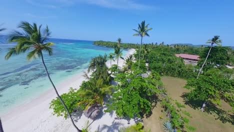 Aerial-fpv-flight-over-palm-trees-and-relaxing-people-on-sandy-beach-during-summer-day-in-Samana,-Dominican-Republic