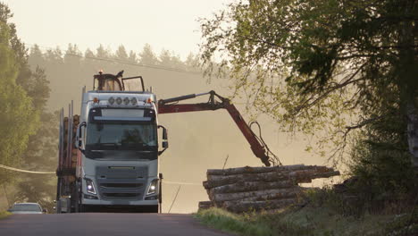 Grapple-loader-mounted-on-truck-loads-harvested-stems,-hydraulic-boom,-Sweden