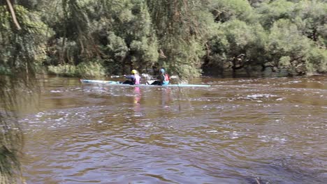 Double-Kayak-Competitors-Navigating-Through-Submerged-Trees-In-The-Avon-descent-Boat-Race