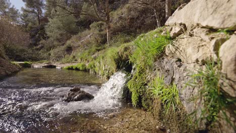 Mediterranean-Nature-Reserve-Of-El-Barranco-De-Los-Molinos