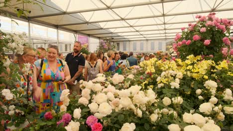 People-walking-through-a-rose-exhibit-at-the-Chelsea-flower-show