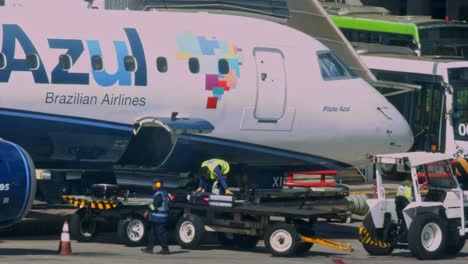 collecting-luggage-on-the-landed-airplane