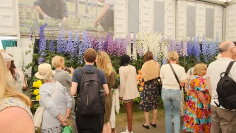 People-looking-at-a-colourful-flower-exhibit-at-the-Chelsea-flower-show