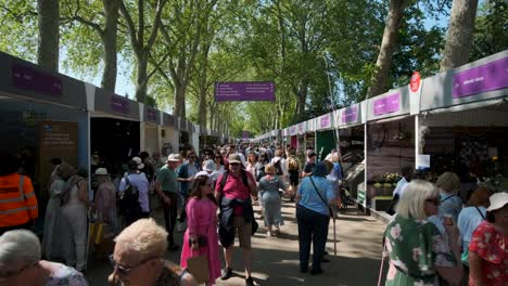 Lower-shopping-promenade-at-the-chelsea-flower-show