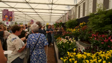 Stall-selling-plants-at-the-chelsea-flower-show