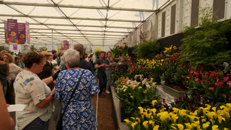 Verkaufsstand-Für-Pflanzen-Auf-Der-Chelsea-Flower-Show