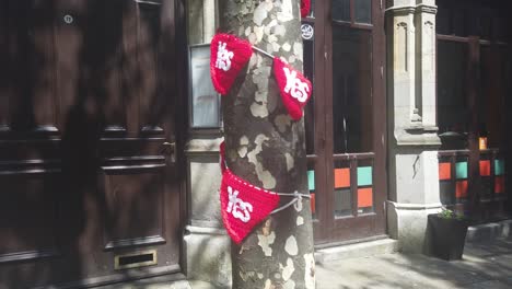 Knitted-YES-signs-tied-around-a-tree