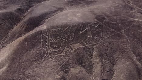 Antike-Geoglyphe-Der-Palpa-Linien,-Die-Einen-Orca-Oder-Killerwal-Auf-Einem-Hügel-Darstellt