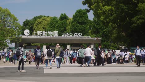 Zoologischer-Garten-Ueno-In-Japan
