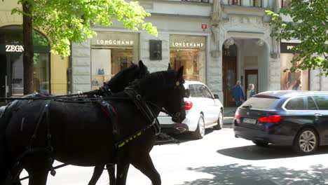 Romantischer-Ausritt-Auf-Einem-Pferd-Und-Einer-Kutsche-In-Prag