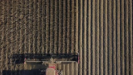 Tractor-Combine-Harvesting-Crops-In-Field-Top-View-Looking-Down-Static-Aerial