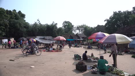 Material-De-Archivo-Del-Mercado-De-La-Aldea-India