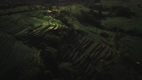 Aerial-drone-camera-moving-forward-into-green-rice-terrace-farmland,-near-beautiful-landscape-sensory,-Sun-directly-reflected-in-the-farm-water-at-rice-terrace-in-the-evening,-Bali,-Indonesia