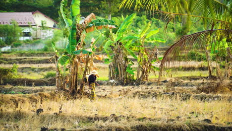 Weitwinkelaufnahme-Eines-Asiatischen-Bauern,-Der-In-Indonesien-Auf-Einem-Plantagenfeld-Arbeitet-Und-Pestizide-Versprüht