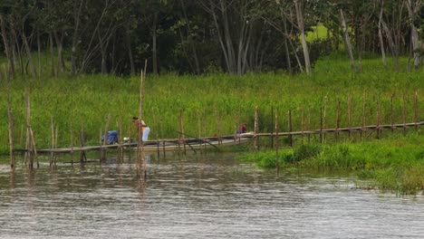 Pueblos-Y-Comunidades-Tribales-Nativas-En-Medio-De-La-Selva-Amazónica,-Brasil.