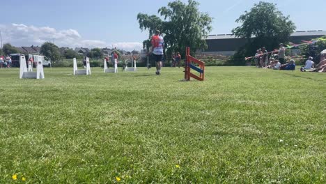 Hunde,-Die-Mit-Ihren-Besitzern-Bei-Einem-Wettbewerb-Flyball-Spielen-Und-Dabei-Von-Menschen-Beobachtet-Werden