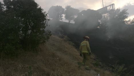 Incendio-Arde-Junto-A-Autopista