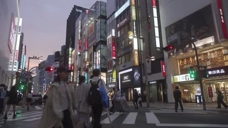 Gente-Cruzando-La-Calle-En-Shinjuku-Temprano-En-La-Puesta-De-Sol