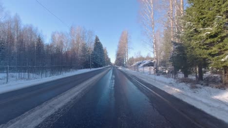 The-car-glides-along-the-road,-nestled-amidst-a-row-of-majestic-pine-trees,-creating-a-serene-and-enchanting-winter-drive