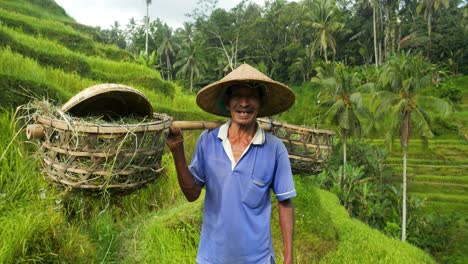 Zeitlupen-Dolly-Aufnahme-Eines-Feldarbeiters-Auf-Den-Tegallalang-Reisterrassen-Auf-Bali-In-Indonesien,-Der-Ein-Bambusschar-Und-Einen-Reishut-Trägt