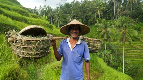 Toma-En-Cámara-Lenta-De-Un-Trabajador-De-Campo-En-Las-Terrazas-De-Arroz-De-Tegallalang-En-Bali,-Indonesia,-Usando-Una-Reja-De-Bambú-Y-Un-Sombrero-De-Arroz.