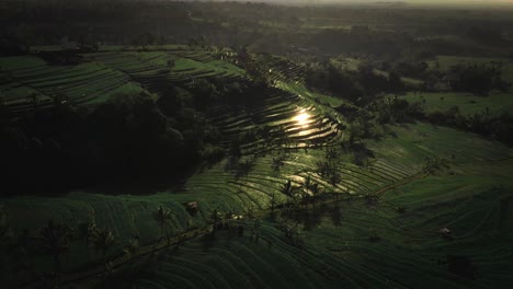 Etablierte-Luftaufnahme-Von-Grünem-Reisterrassen-Ackerland,-In-Der-Nähe-Einer-Schönen-Landschaft,-Die-Sich-Am-Abend-Direkt-Im-Wasser-Der-Reisterrasse-Auf-Der-Reisterrasse-Spiegelt,-Bali,-Indonesien