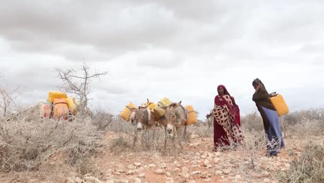 Africa,-Kenya,-Kenyan-Somali-border---A-group-of-Kenyan-women-carry-water-on-their-backs-and-donkeys-to-their-homes