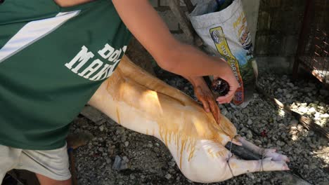 22-De-Abril-De-2023-Danao-City,-Cebu,-Filipinas---Un-Hombre-Está-Frotando-Salsa-De-Soja-En-Un-Lechón-O-Cochinillo-Preparándolo-Para-Asarlo-Al-Fuego.