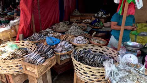 Woman-Selling-a-Wide-Variety-of-Dried-Fish-at-a-Bustling-Public-Market-at-a-Bustling-Public-Market-in-Danao-City,-Cebu,-Philippines