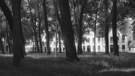 Beguinage-Convent-Park