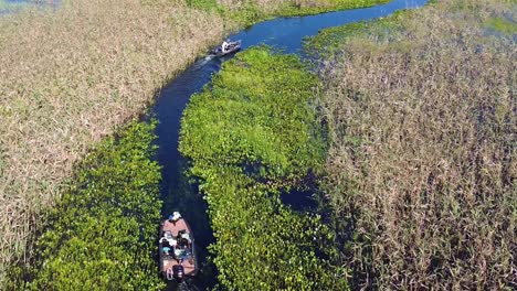 Drone-follows-two-boats-through-the-dense-vegetation-of-the-pantanal-in-Brazil