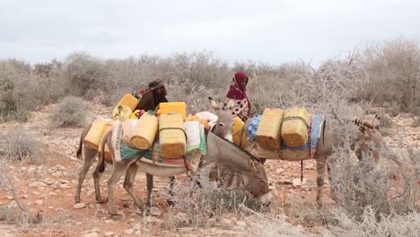 África,-Kenia,-Frontera-Entre-Kenia-Y-Somalia:-Un-Grupo-De-Mujeres-Kenianas-Llevan-Agua-A-Sus-Espaldas-Y-Burros-A-Sus-Hogares