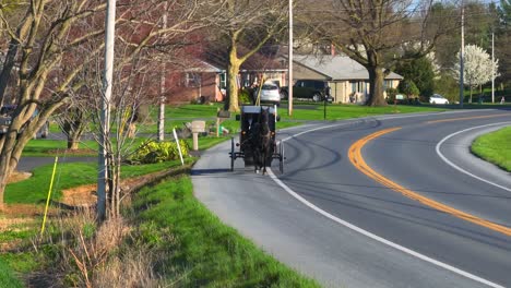 Amish-couple-in-horse-and-buggy-on-rural-road-with-houses-and-trees-in-USA