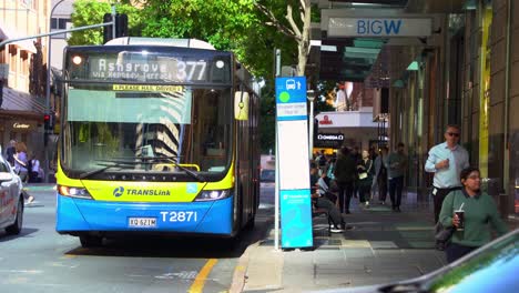 Static-shot-capturing-Ashgrove-377-bus-departing-stop-87-in-front-of-Big-W-on-Elizabeth-street-at-central-business-district,-downtown-Brisbane-city-at-daytime