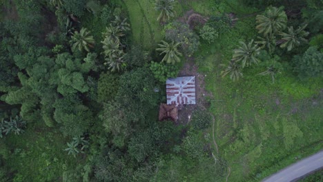 Top-down-of-local-house-in-middle-of-green-vegetation-at-Sumba-island,-aerial