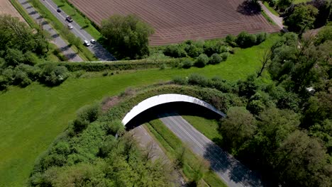 Rotating-aerial-movement-showing-traffic-passing-underneath-wildlife-crossing-natural-corridor-bridge-for-animals-to-migrate-between-conservancy-areas